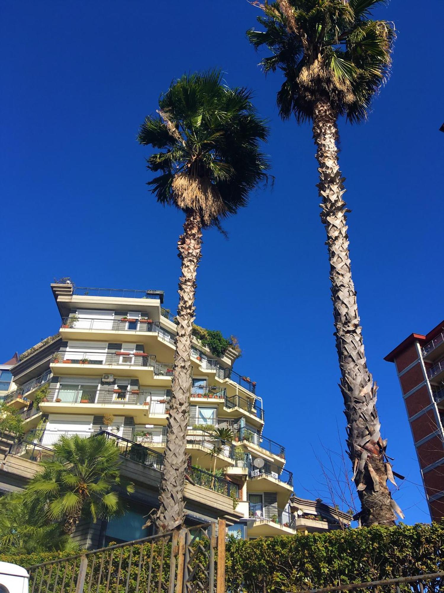 Seafront In The City Hotel Catânia Exterior foto